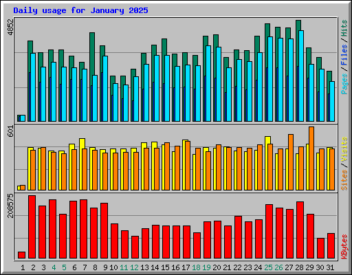 Daily usage for January 2025