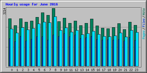 Hourly usage for June 2016