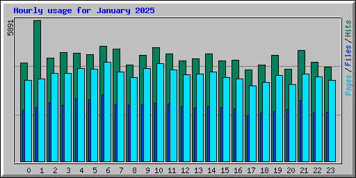 Hourly usage for January 2025