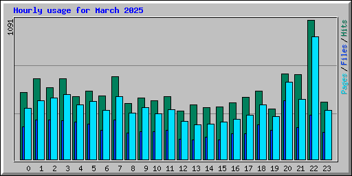 Hourly usage for March 2025