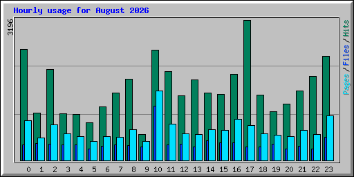 Hourly usage for August 2026